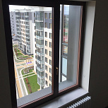 Окна Rehau Geneo в квартире - фото 1